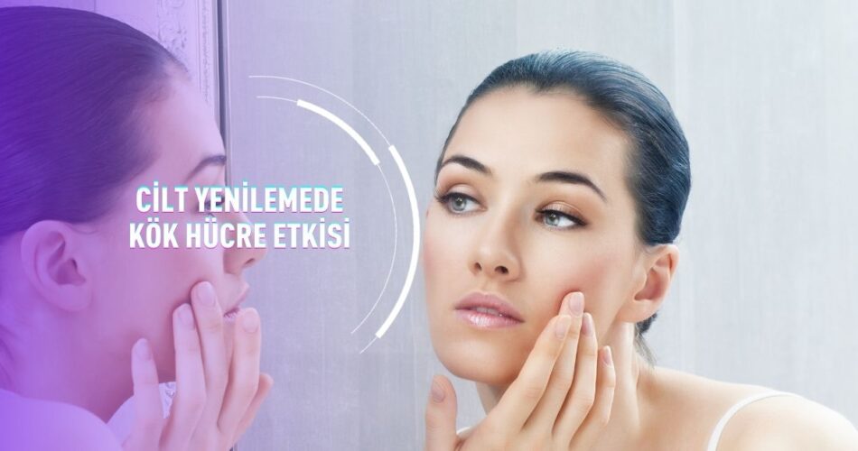 Cilt Yenilemede Kök Hücre Etkisi